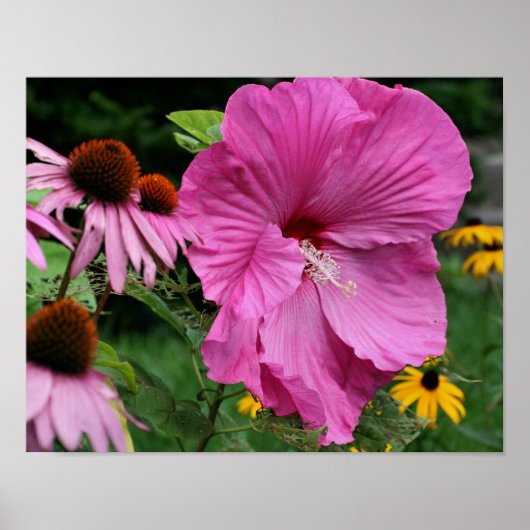 Roze hibiscus en bloementuin vrienden poster (Voorkant)
