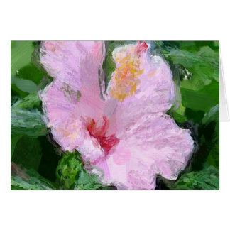 Roze Hibiscus Flower