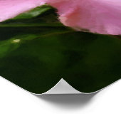 Roze Hibiscus Flower Art Foto schilderen Poster (Hoek)