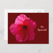 Roze Hibiscus Flower Briefkaart (Voorkant / Achterkant)