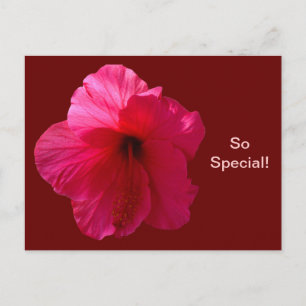 Roze Hibiscus Flower Briefkaart