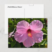 Roze Hibiscus Flower Briefkaart (Voorkant / Achterkant)