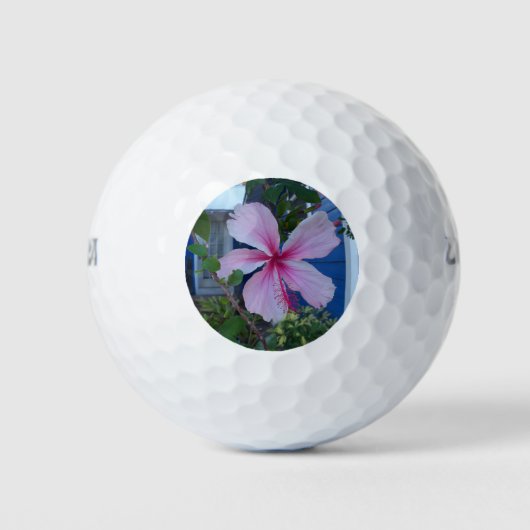 Roze hibiscus flower en een blauwe strandwand golfballen (Voorkant)