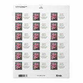 Roze Hibiscus Flower in Waterverf Address Etiket (Full Sheet)