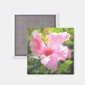 Roze Hibiscus Flower Magneet (Voorkant / Achterkant)