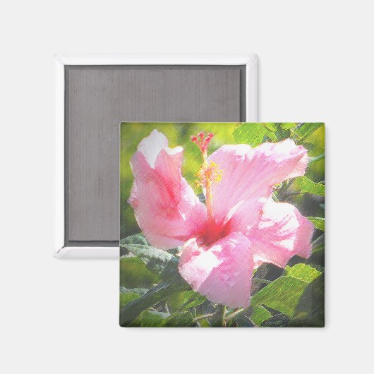 Roze Hibiscus Flower Magneet (Voorkant / Achterkant)