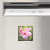 Roze Hibiscus Flower Magneet (Insitu (Vaatwasser))
