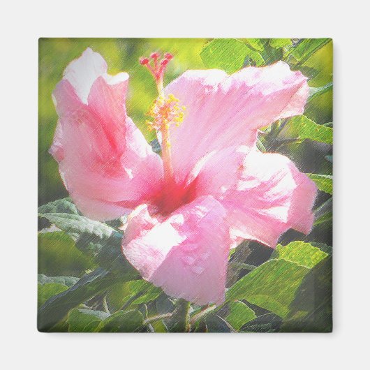 Roze Hibiscus Flower Magneet (Voorkant)