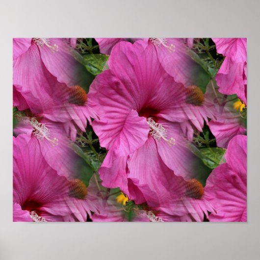 Roze Hibiscus Flower Multiplied Poster (Voorkant)