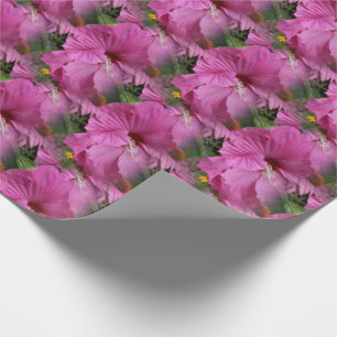 Roze Hibiscus Flower Natuur Cadeaupapier