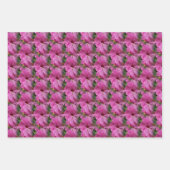 Roze Hibiscus Flower Natuur Inpakpapier Vel (Voorkant)