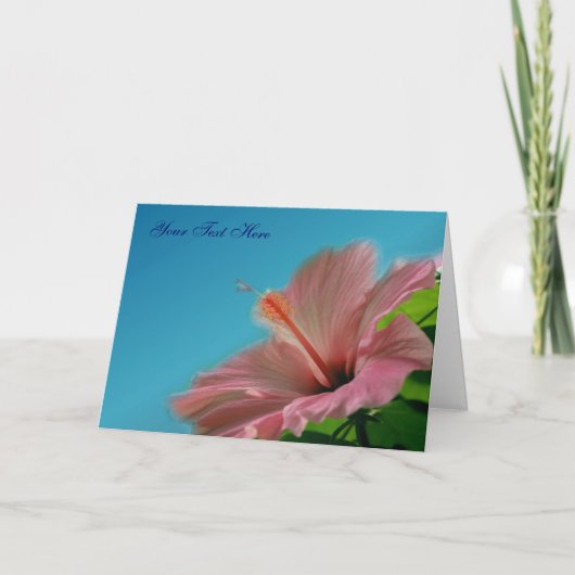 Roze Hibiscus Flower Photo Card Kaart (Voorkant)