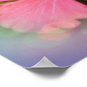 Roze Hibiscus Flower Poster (Hoek)