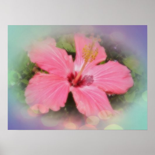 Roze Hibiscus Flower Poster (Voorkant)