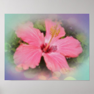 Roze Hibiscus Flower Poster