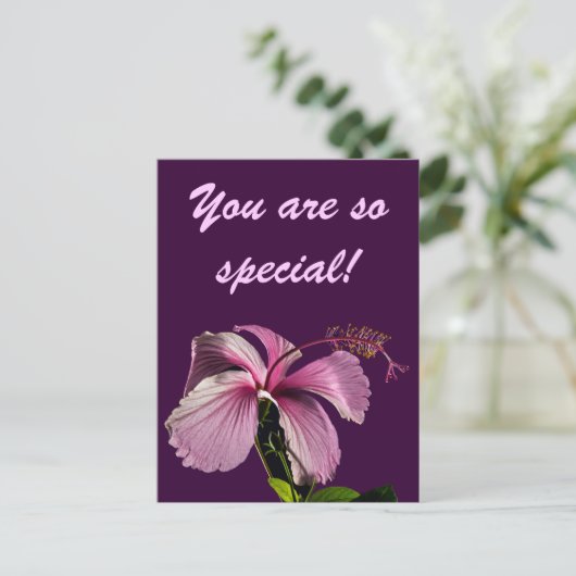 Roze Hibiscus Flower Side Uitzicht Briefkaart (Staand voorkant)