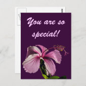 Roze Hibiscus Flower Side Uitzicht Briefkaart (Voorkant / Achterkant)