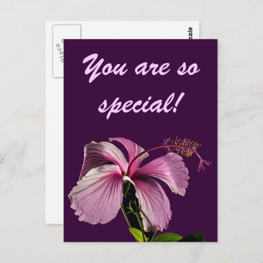 Roze Hibiscus Flower Side Uitzicht Briefkaart (Voorkant / Achterkant)