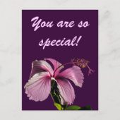 Roze Hibiscus Flower Side Uitzicht Briefkaart (Voorkant)