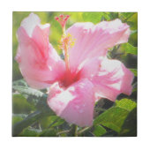 Roze Hibiscus Flower Tegeltje (Voorkant)