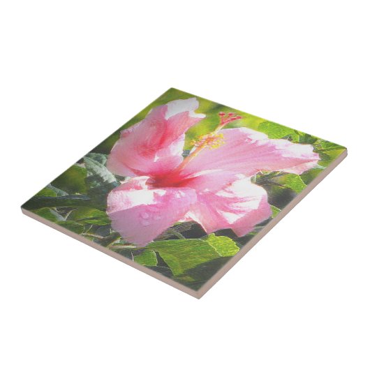 Roze Hibiscus Flower Tegeltje (Zijkant)