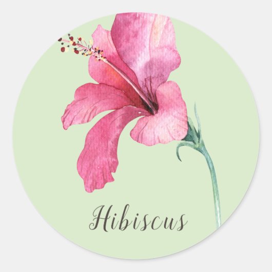 Roze Hibiscus Flower Waterverf Ronde Sticker (Voorkant)