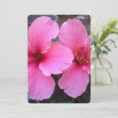Roze Hibiscus Flowers (Staand voorkant)