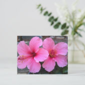 Roze Hibiscus Flowers Briefkaart (Staand voorkant)