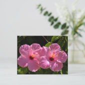 Roze Hibiscus Flowers Briefkaart (Staand voorkant)