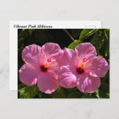 Roze Hibiscus Flowers Briefkaart (Voorkant / Achterkant)
