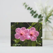 Roze Hibiscus Flowers Briefkaart (Staand voorkant)