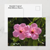 Roze Hibiscus Flowers Briefkaart (Voorkant / Achterkant)