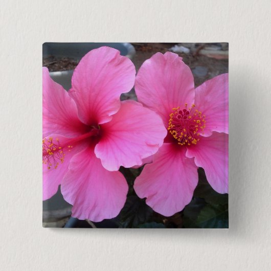 Roze Hibiscus Flowers Vierkante Button 5,1 Cm (Voorkant)