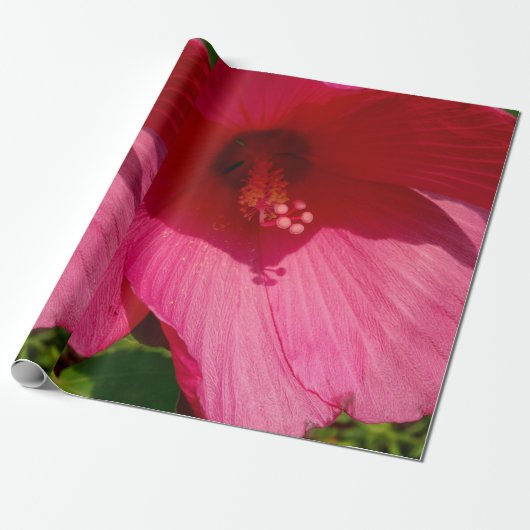 Roze Hibiscus-fotopapier met onmiddellijke verpakk Cadeaupapier (Uitgerold)