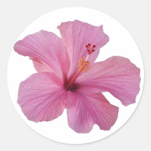 Roze Hibiscus Hawaiian Flower Gepersonaliseerd Sja Ronde Sticker (Voorkant)