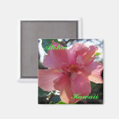 Roze Hibiscus in Hawaii Magneet (Voorkant / Achterkant)