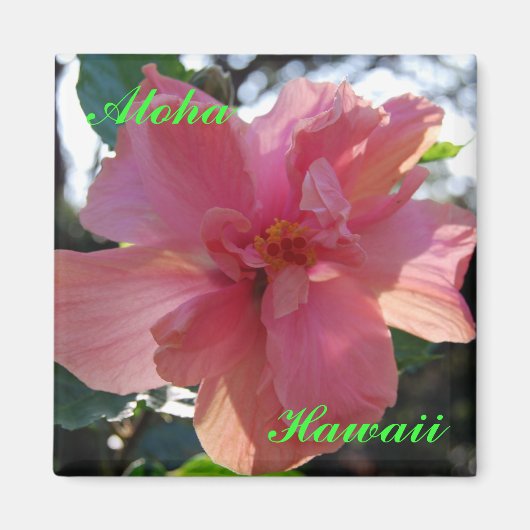 Roze Hibiscus in Hawaii Magneet (Voorkant)