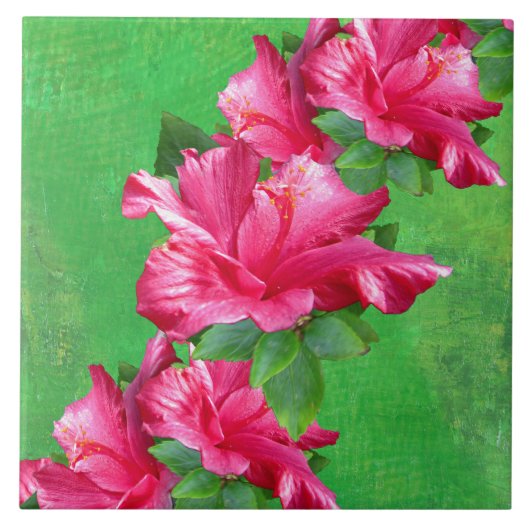 Roze Hibiscus Lei Tile Tegeltje (Voorkant)