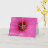 Roze Hibiscus Macro Kaart (Gele Bloem)