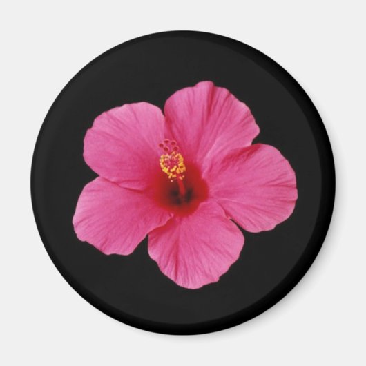 Roze Hibiscus Magneet (Voorkant)