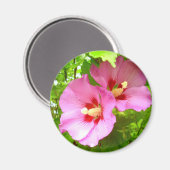 Roze Hibiscus Magnet (Voorkant / Achterkant)