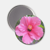 Roze Hibiscus magnet (Voorkant / Achterkant)