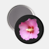 Roze Hibiscus Magnet (Voorkant / Achterkant)