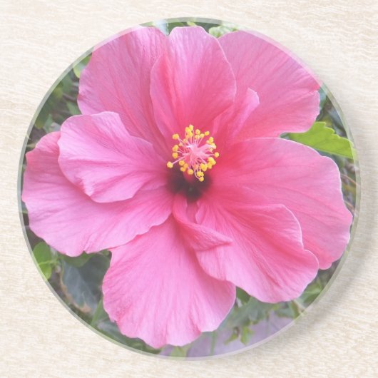 Roze Hibiscus onderzetter (Voorkant)