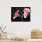 Roze Hibiscus op Black Poster (Keuken)