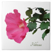  roze hibiscus op wit tegeltje (Voorkant)