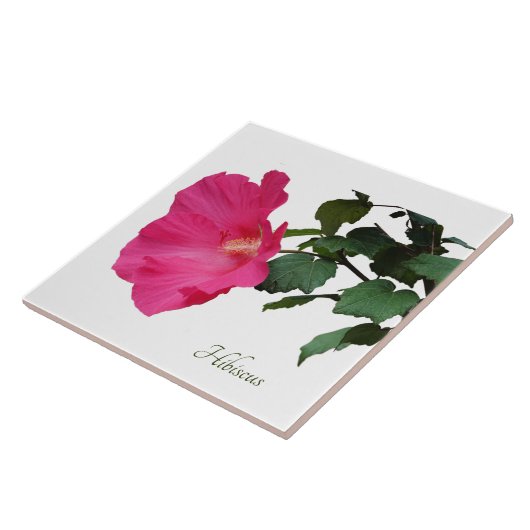  roze hibiscus op wit tegeltje (Zijkant)