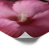 Roze Hibiscus Partiële Kleur Abstract  Poster (Hoek)
