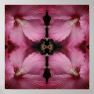 Roze Hibiscus Partiële Kleur Abstract  Poster