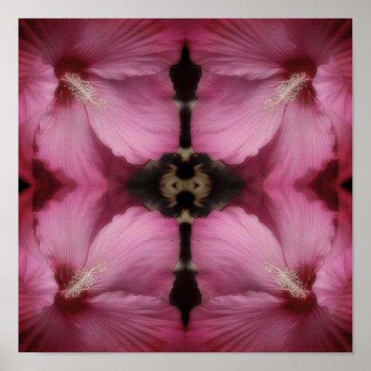 Roze Hibiscus Partiële Kleur Abstract  Poster (Voorkant)